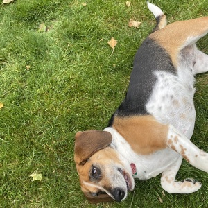 Fundraising Page: Makayla Greenstein